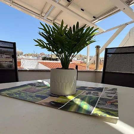 Apartment In Mit Terrasse Palm-mar